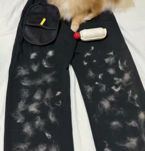 The Magic Pet Hair Remover