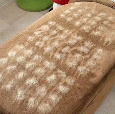 The Magic Pet Hair Remover